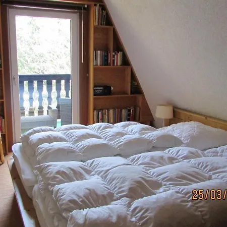Vakantiehuis Finnhaus Neubauer Elbingerode (Saxony-Anhalt)