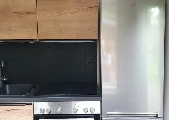 Finnhaus Neubauer 別荘 *