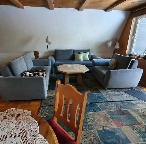 別荘 Finnhaus Neubauer *